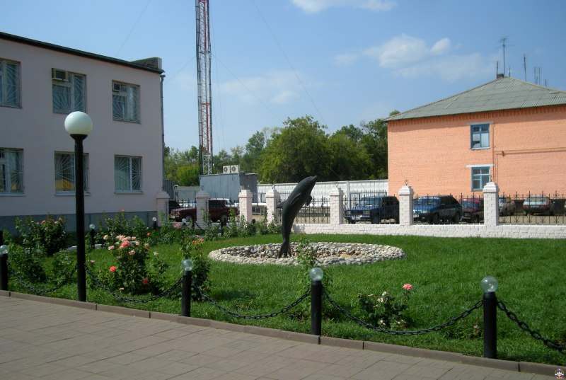 Заключенные пожизненно черный Дельфин