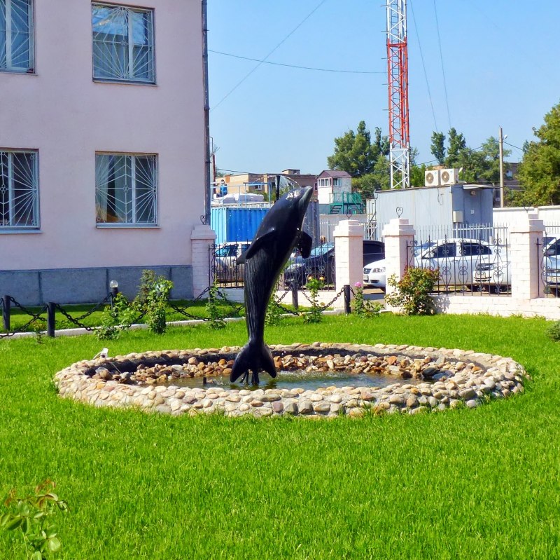 Соль-Илецк колония черный Дельфин