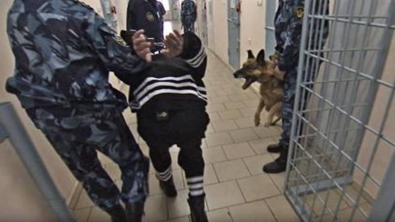 ИК-6 черный Дельфин