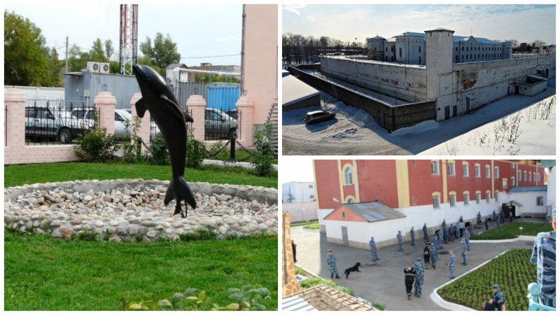 Соль-Илецк колония черный Дельфин