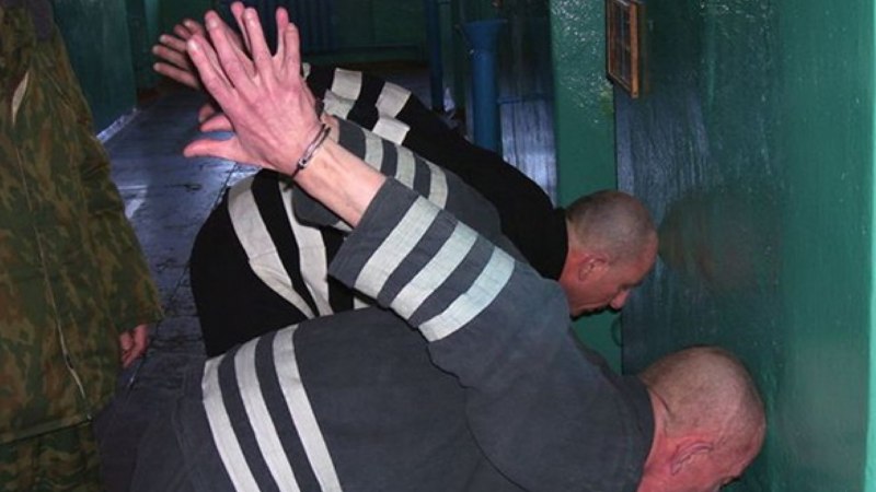 Геннадий Шпет черный Дельфин