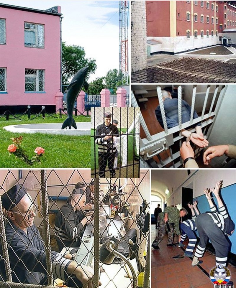Белый лебедь ИК-1 Соликамск