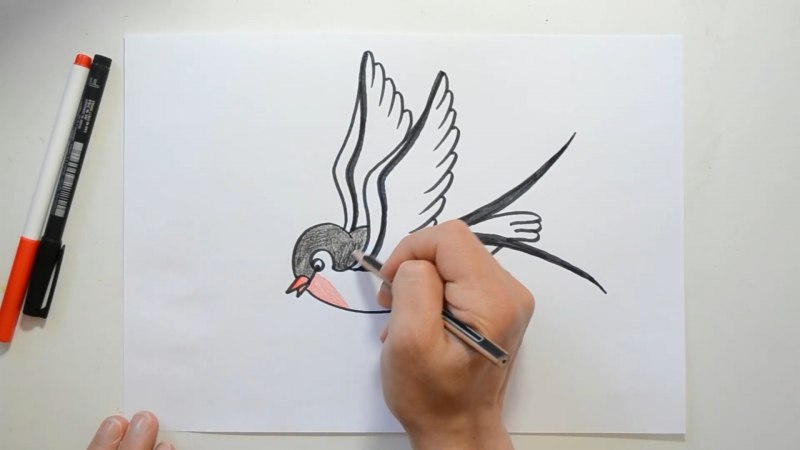 СССР карандаш swallow