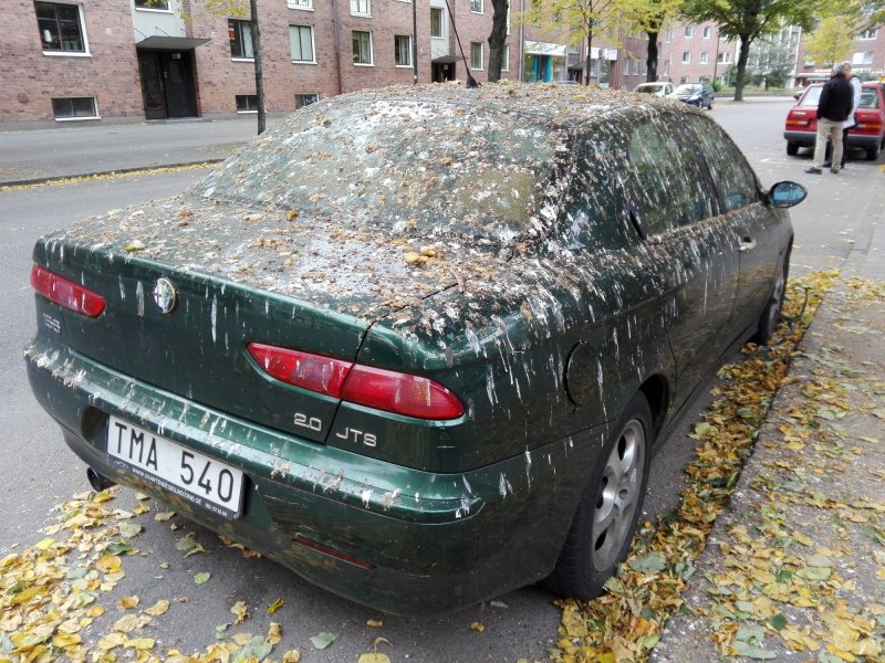 Аэрография на Kia Ceed