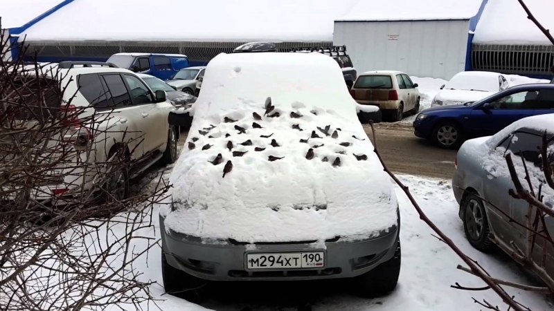 Toyota Corolla, 2008 комплектация Elegance