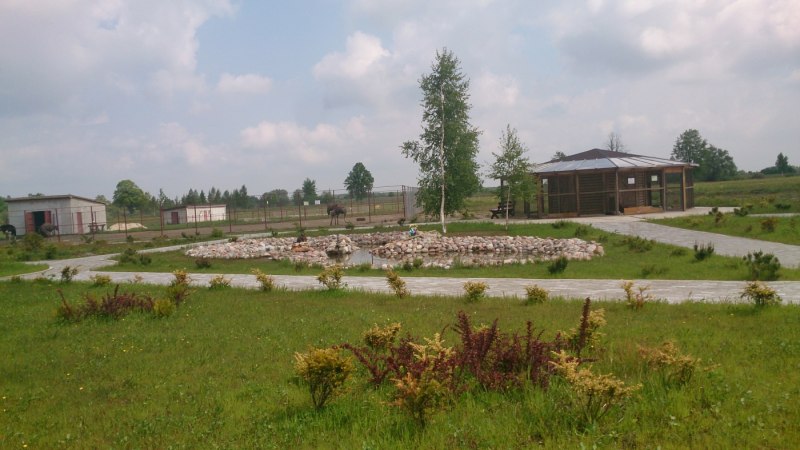 Джуронг Сингапур