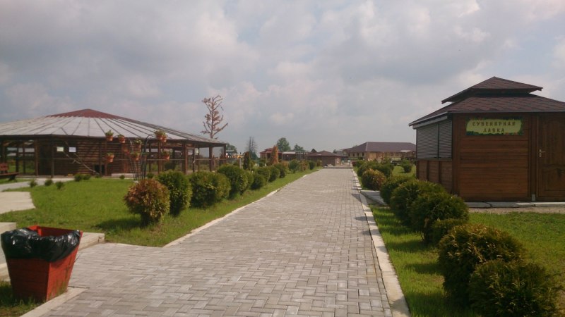 Парк птиц воробьи Калуга