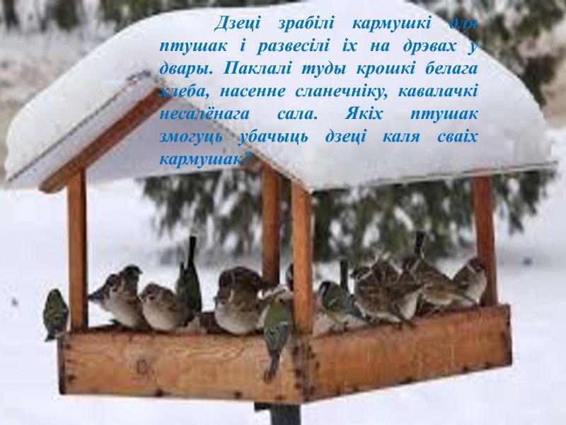 Птицы в зимнем саду