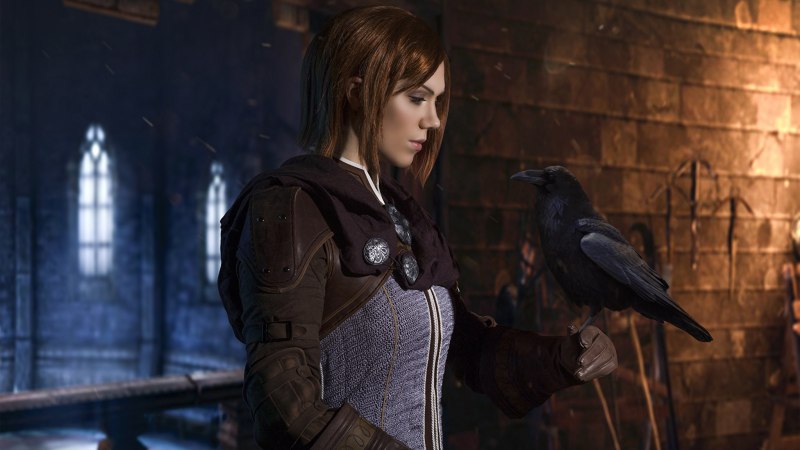 Ворон Dragon age Inquisition Лелиана