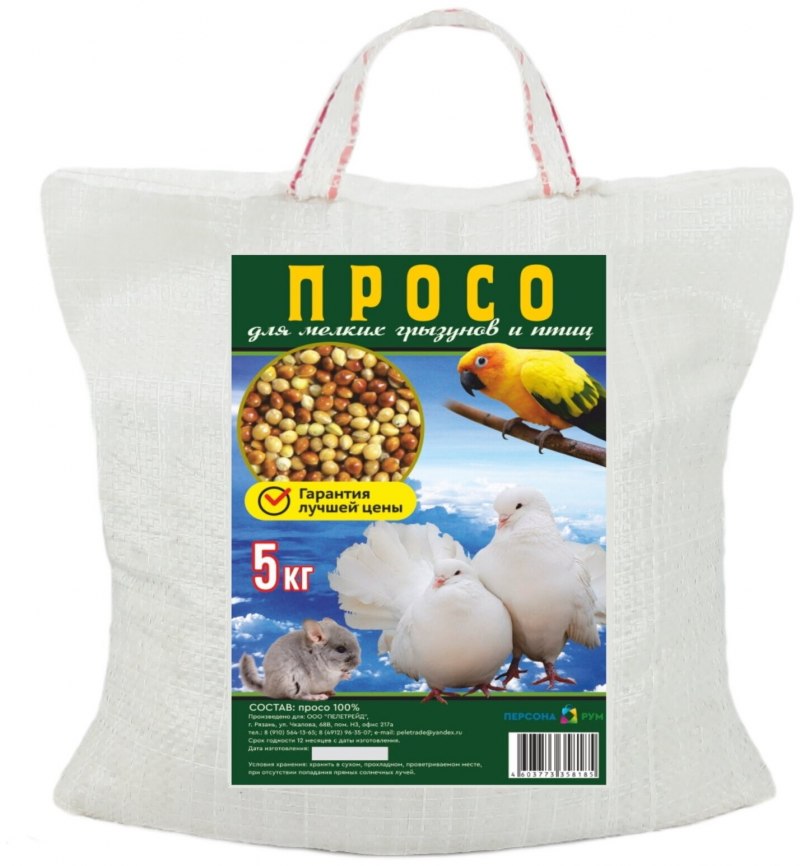 Голубь клюет