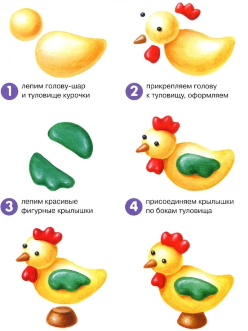 Схемы лепки из пластилина для детей 5-6