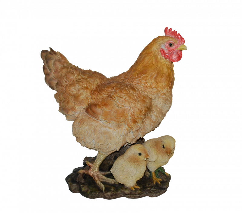 Петушиная голова