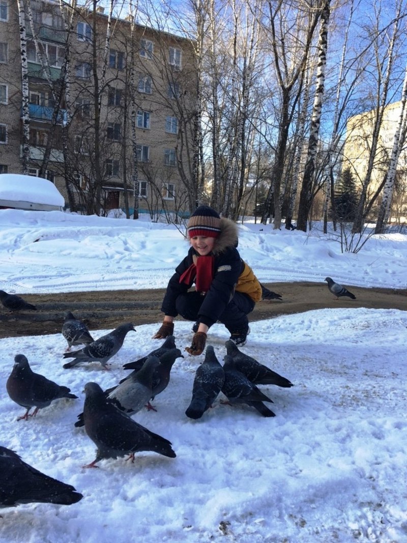 Мальчик кормит птиц