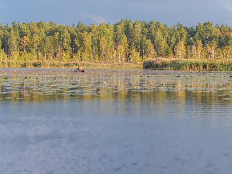 Озеро Крячек Барышский район