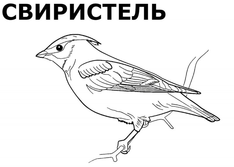 Нож Воробей