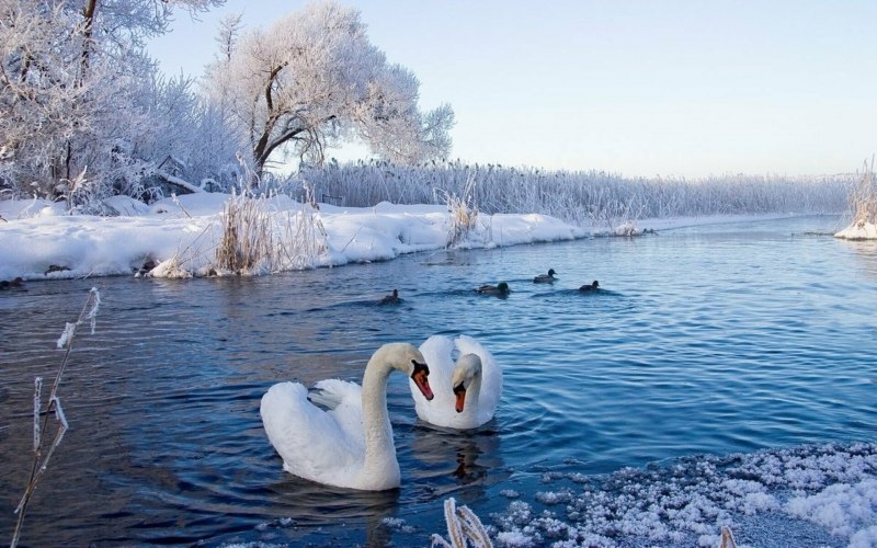 Себеж национальный парк Себежский