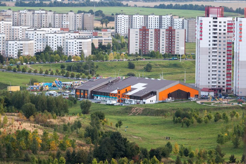 Зарянка молодая