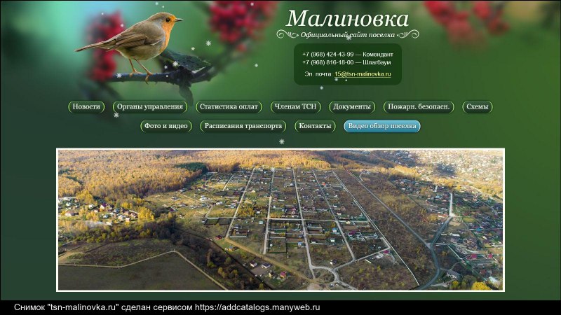 Зарянка пение