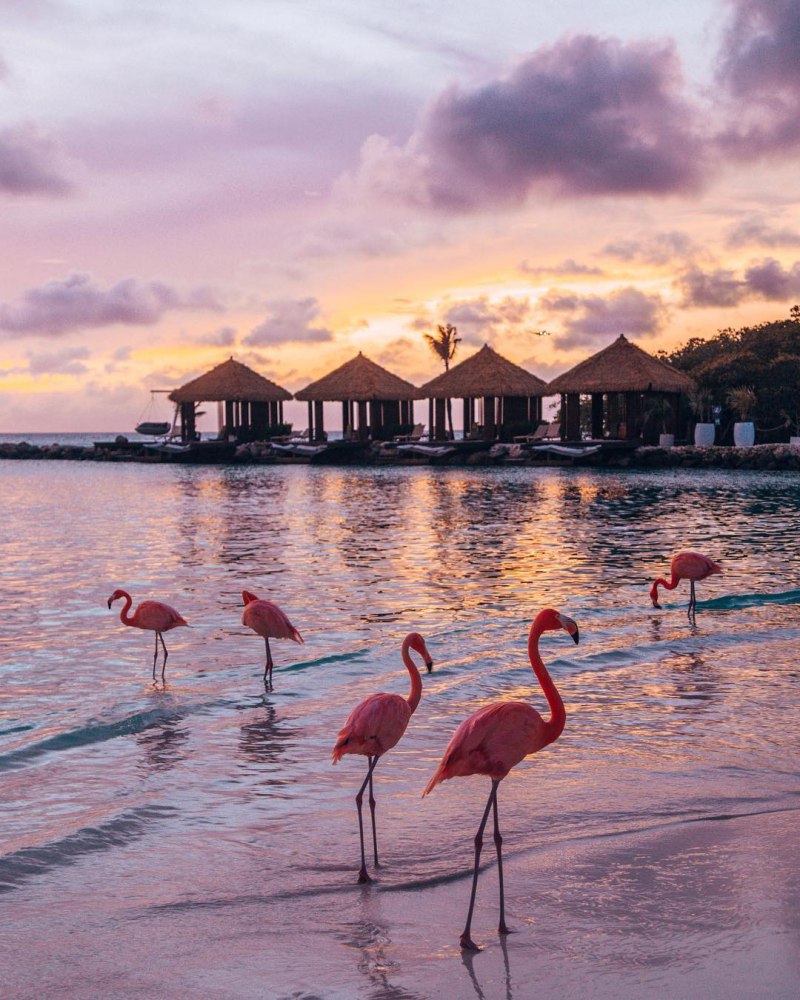 Curacao Tourism