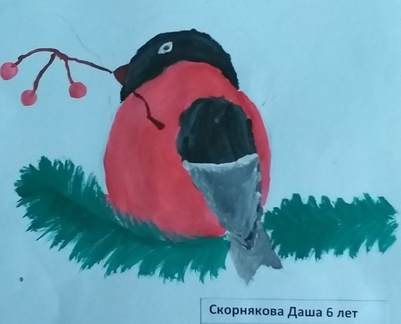 Снегирь для срисовки