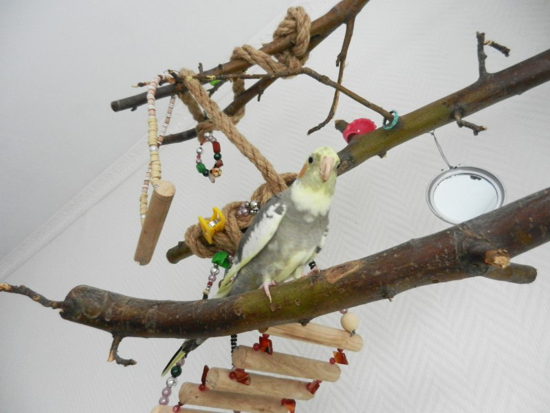 Кормушка домик из березы