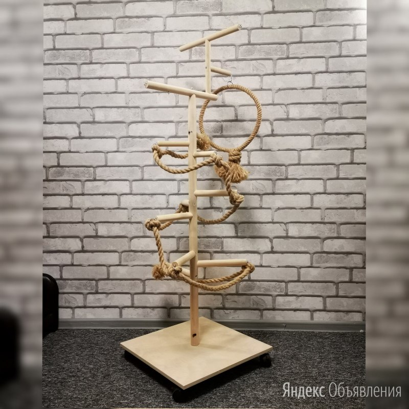 Стенд для попугая корелла