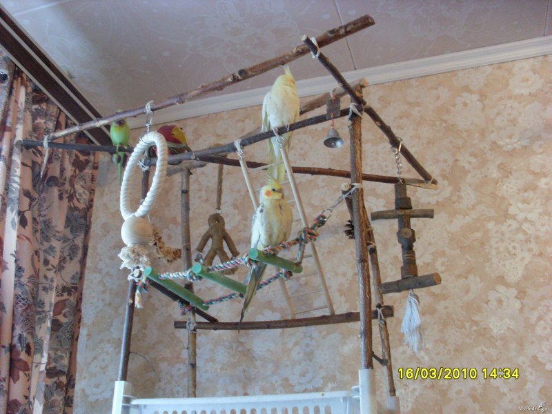 Дом для кошки из ветки