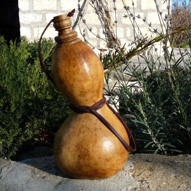 Сад красивые птицы