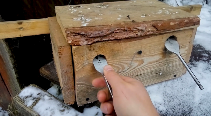 Воробей в скворечнике