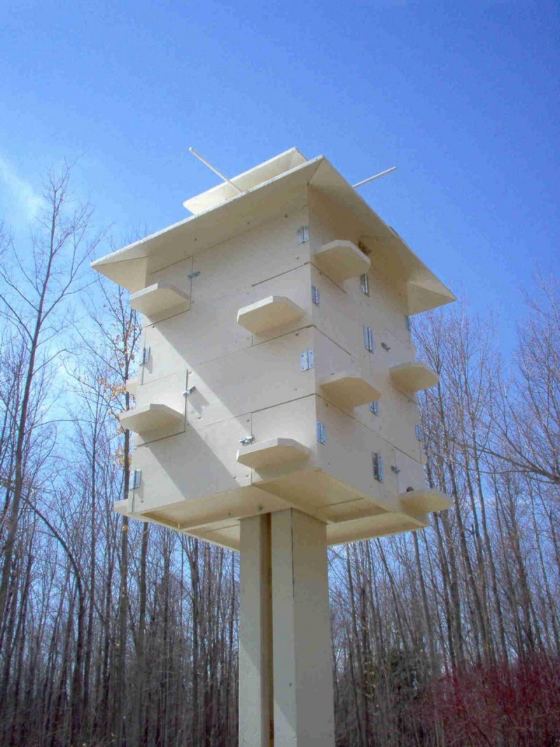Кормушка бельчатник