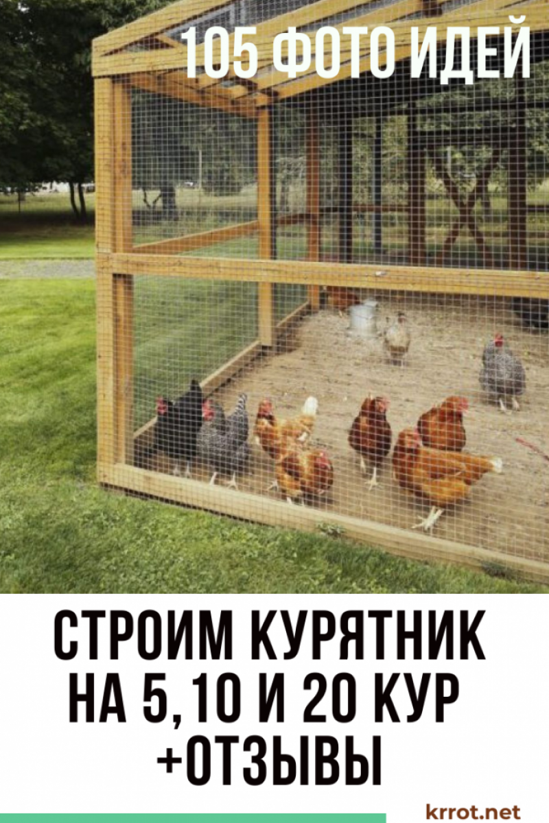 Курятник для разных пород