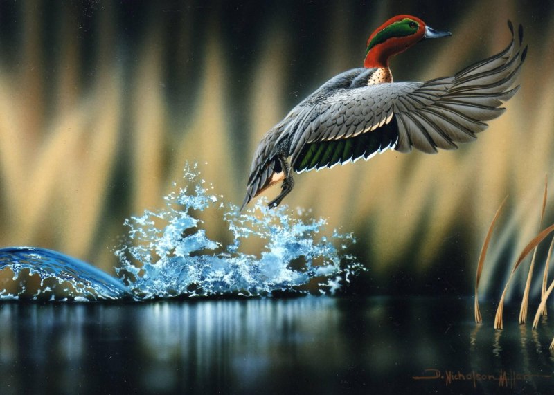 Отражение птицы в воде