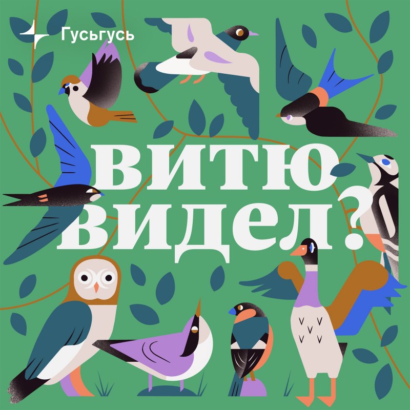 Птица Витю видел