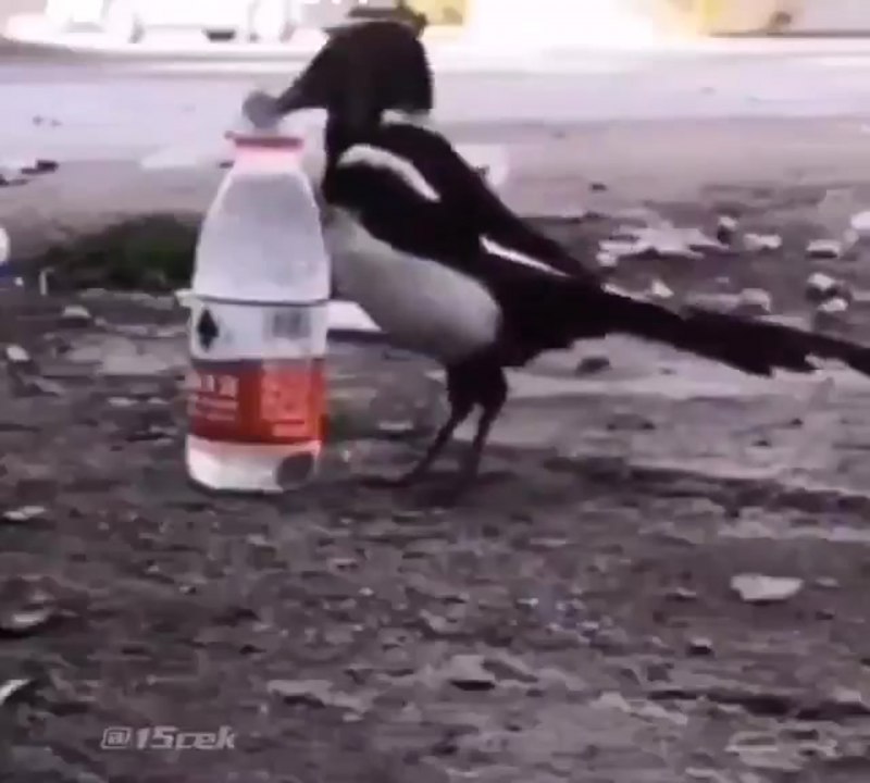 Витя Рязань