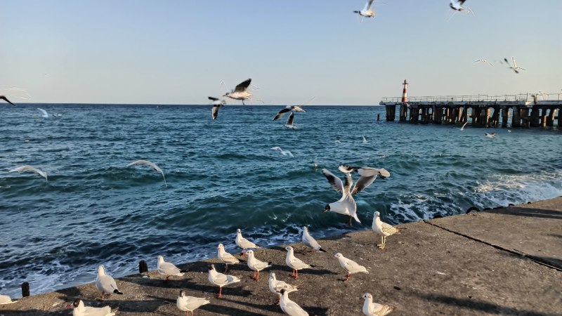 Большие моря