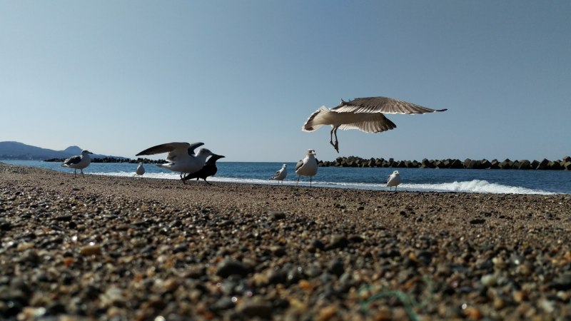 Дендрозоопарк Алушта