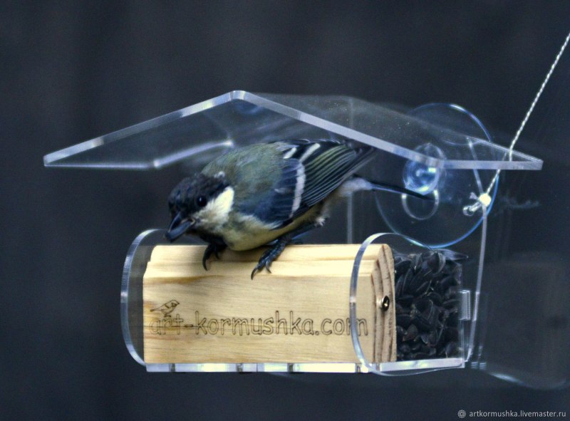 Window Feeder кормушки