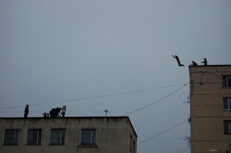 Сизый голубь на крыше