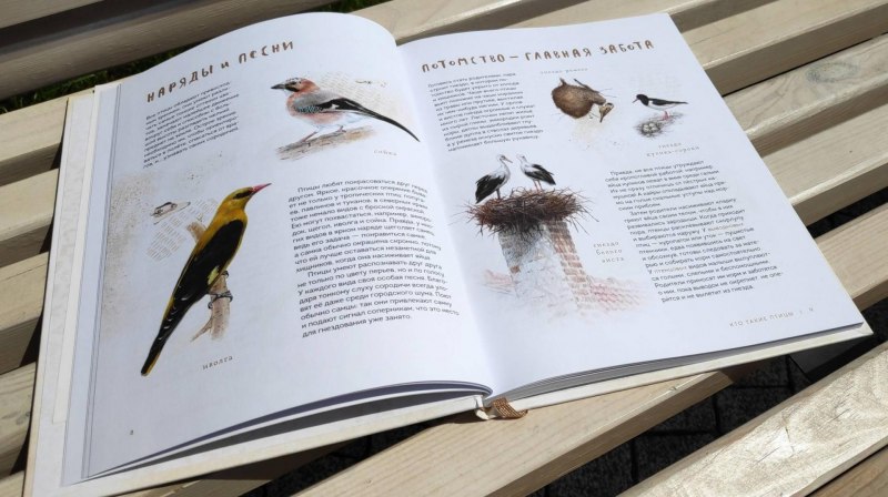 Звери и птицы на книжных страницах