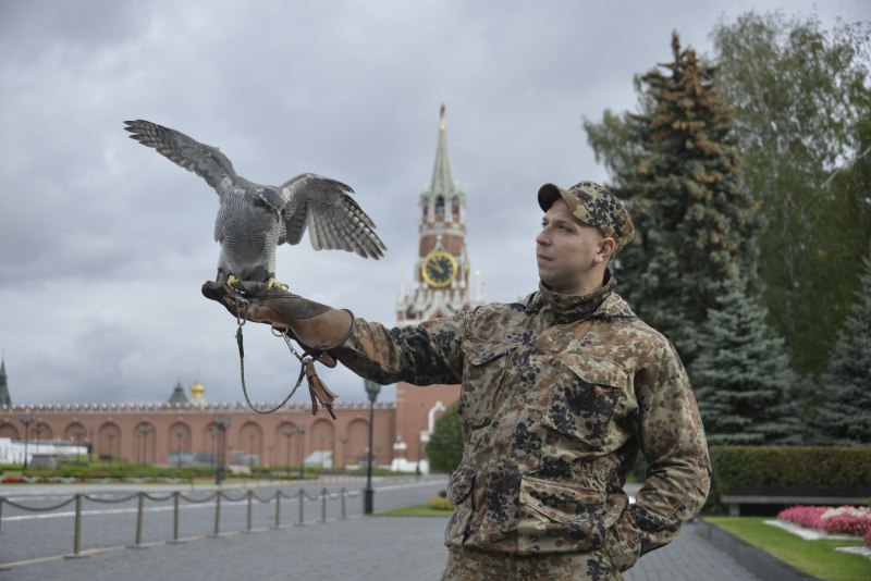 Орнитологический отряд Кремля
