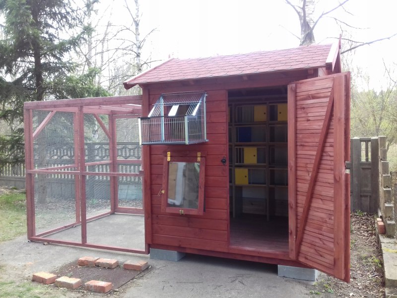 Постройка голубятни