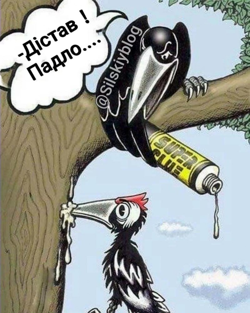 Дятел карикатура