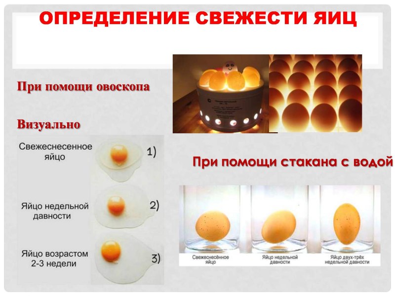 Фото неоплодотворенных желтков