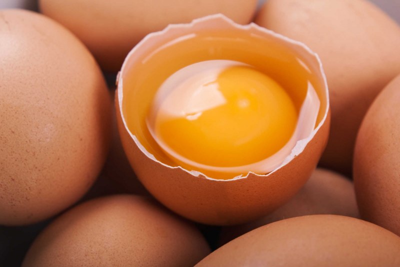 Яйцо Hatching Egg