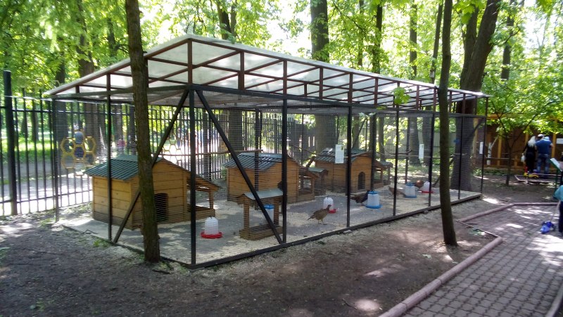 Бенилюкс клетка деревянная Wooden rearing Cage для птиц, 60*30*40 см,