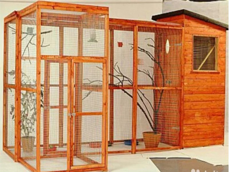 Aviary вольер