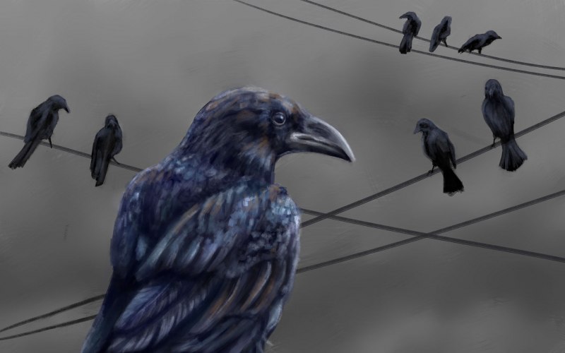 Huginn and Muninn