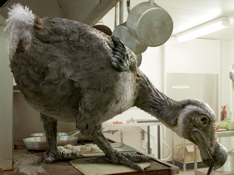 Natural History Museum Dodo