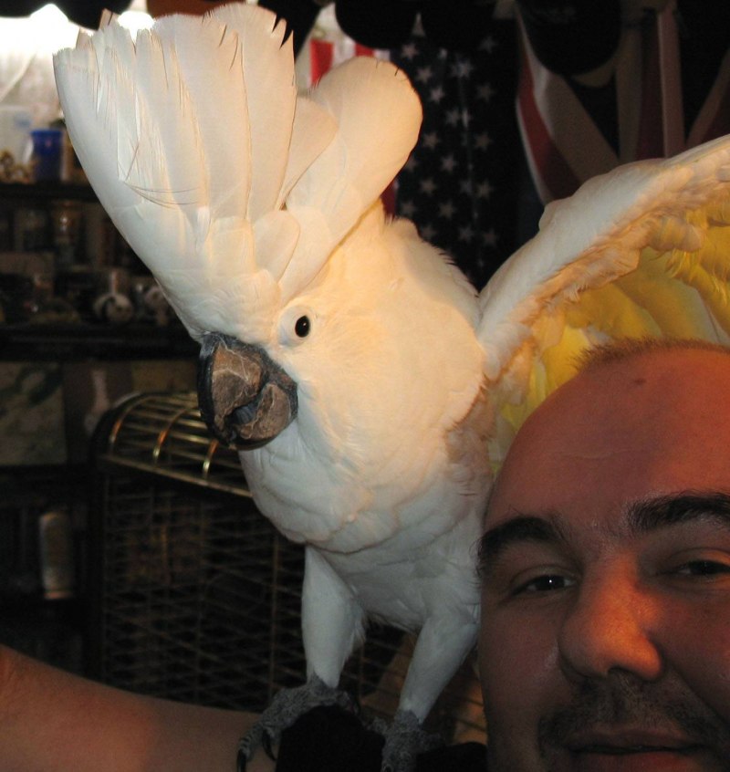 Park Cockatoo Park Австралия