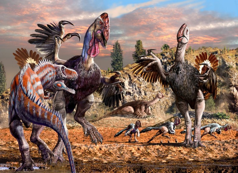 Phorusrhacos longissimus